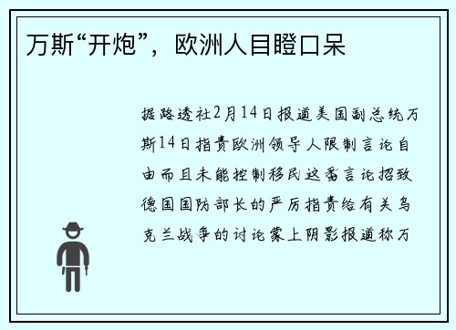 万斯“开炮”，欧洲人目瞪口呆