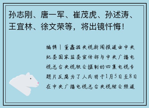 孙志刚、唐一军、崔茂虎、孙述涛、王宜林、徐文荣等，将出镜忏悔！