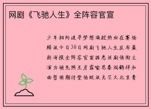 网剧《飞驰人生》全阵容官宣