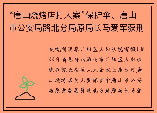 “唐山烧烤店打人案”保护伞、唐山市公安局路北分局原局长马爱军获刑12年