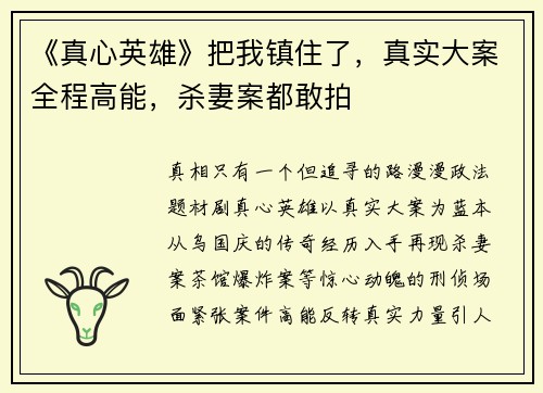《真心英雄》把我镇住了，真实大案全程高能，杀妻案都敢拍