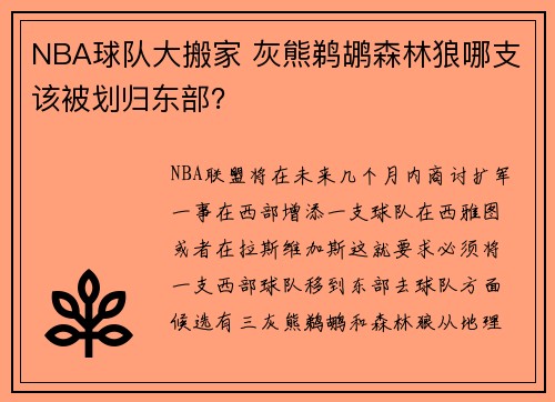 NBA球队大搬家 灰熊鹈鹕森林狼哪支该被划归东部？