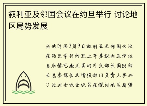 叙利亚及邻国会议在约旦举行 讨论地区局势发展