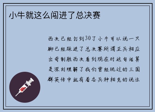 小牛就这么闯进了总决赛